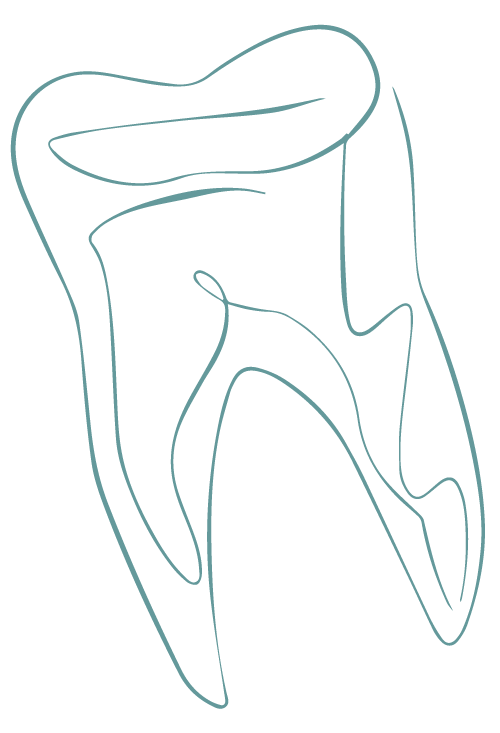 tooth@3x